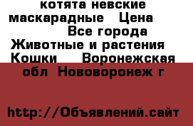 котята невские маскарадные › Цена ­ 18 000 - Все города Животные и растения » Кошки   . Воронежская обл.,Нововоронеж г.